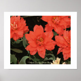 April Love by Linda Becker Poster