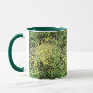 April showers May Flowers Mug