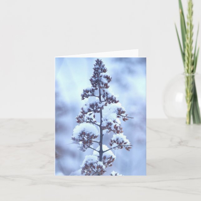 April Snow Card (Front)