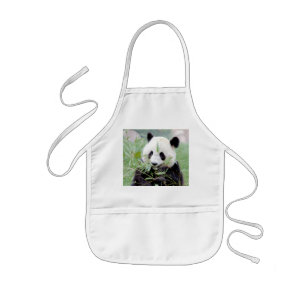 Apron Photo giant panda , panda geant. animals.