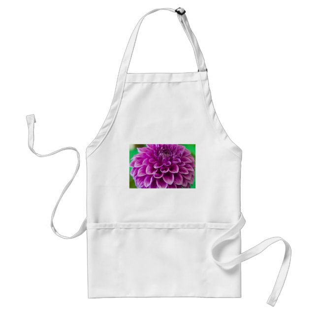 Apron, Purple Dahlia # 189 Standard Apron (Front)