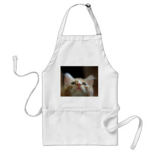 Apron with Orange Tabby Kitten