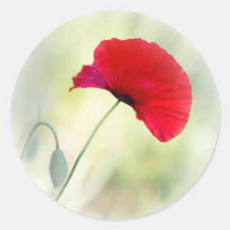 Apron with red poppy "Be happy!" Classic Round Sticker