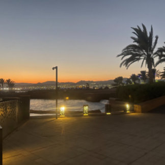 aqaba photography Wood Topped Wall Tapestry