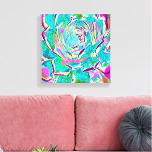 Aqua and Magenta Succulent Sedum Rosette Canvas Print