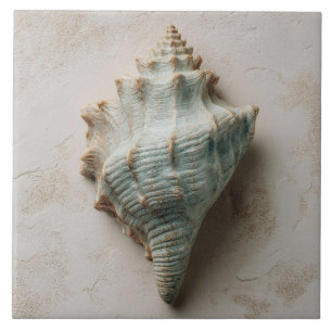 Aqua and Sand Coastal Conch Shell Tile