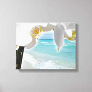 Aqua Beach Orchid Canvas Print