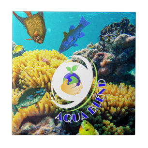 Aqua Blend Tile