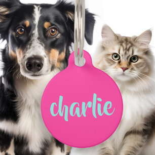 Aqua blue name phone number script bold hot pink pet tag