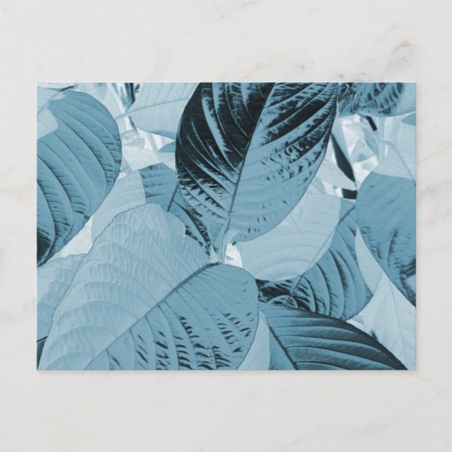 Aqua Botanical Leaves Post Card (Customisable) (Front)