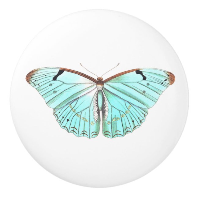Aqua Butterfly Ceramic Knob (Front)