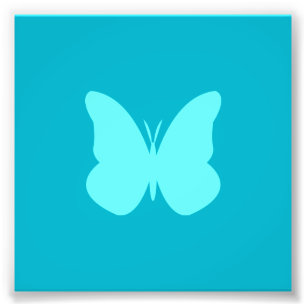 aqua butterfly photo print
