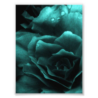 Aqua Close Up of a Double Begonia Photo Print