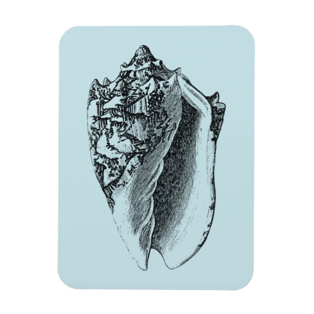 Aqua Conch Shell Magnet (Vertical)