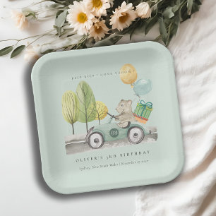 Aqua Green Any Age Birthday Party Teddy Car Paper Plate