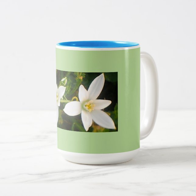 Aqua Green Spring Time Two-Tone Coffee Mug (Front Right)