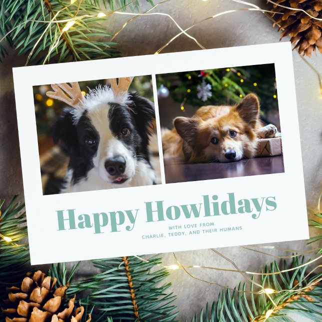 Aqua "Happy Howlidays" From the Dogs Holiday Card (Creator Uploaded)