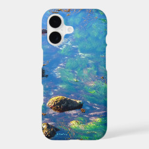 Aqua Monet - A MisterP Case