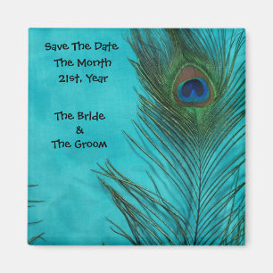 Aqua Peacock Feathers Wedding Magnets