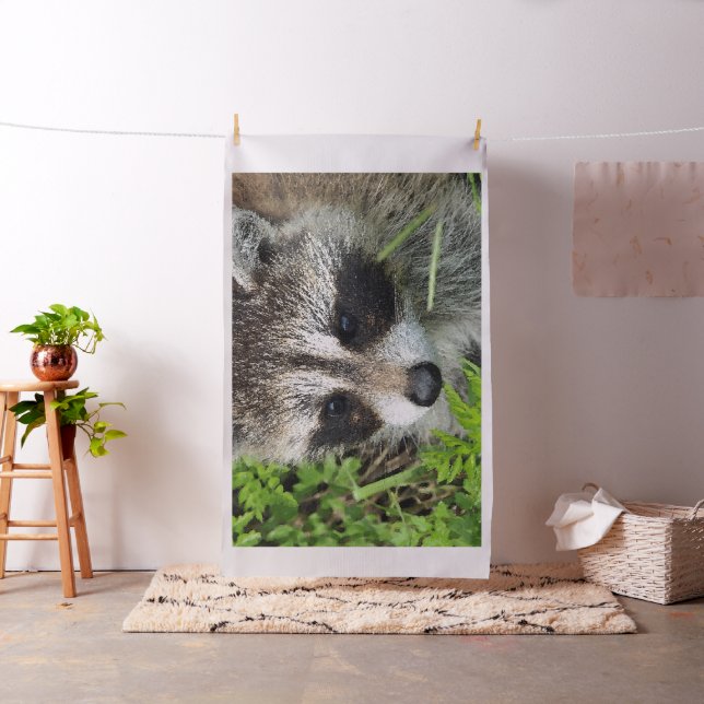 Aqua_Raccoon_20180101 Fabric (In Situ)