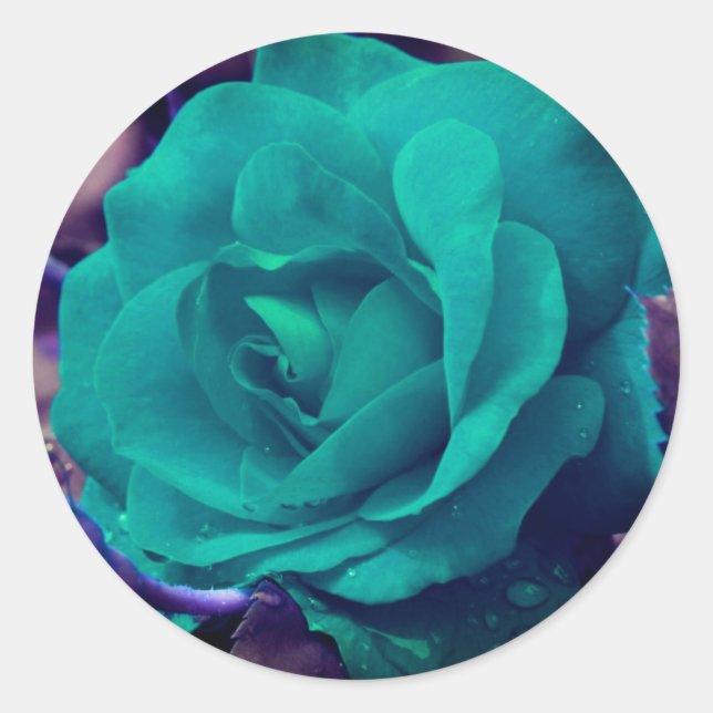 Aqua Rose Flower Abstract Classic Round Sticker (Front)