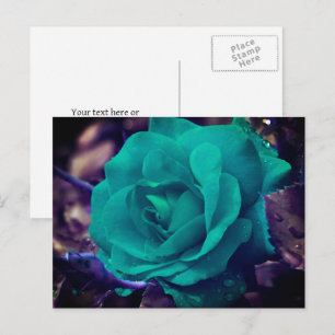 Aqua Rose Flower Personalised Postcard