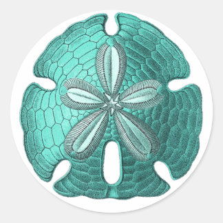 Aqua Sand Dollar Classic Round Sticker