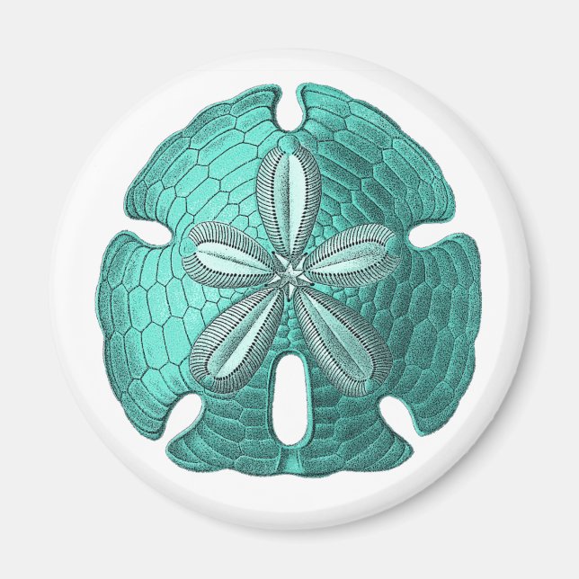 Aqua Sand Dollar Magnet (Front)