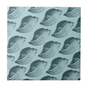 Aqua Teal Sea Shells Tile
