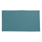 Aqua - Teal - Turquoise - Blue-Green Solid Colour