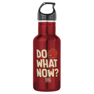 Aqua Teen Hunger Force Meatwad "Do What Now?" 532 Ml Water Bottle
