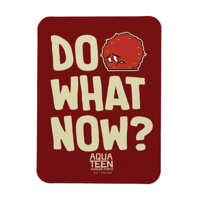 Aqua Teen Hunger Force Meatwad "Do What Now?" Magnet (Vertical)