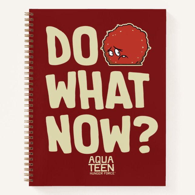 Aqua Teen Hunger Force Meatwad "Do What Now?" Notebook (Front)