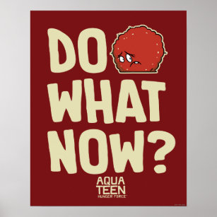 Aqua Teen Hunger Force Meatwad "Do What Now?" Poster