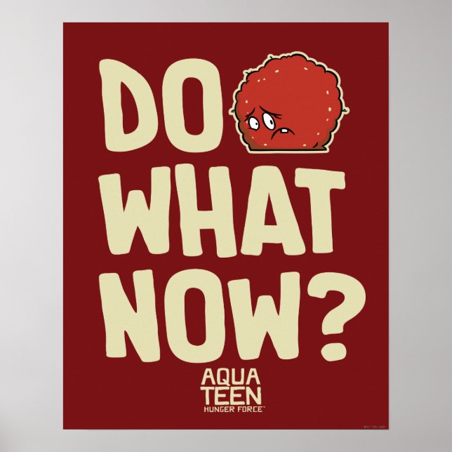 Aqua Teen Hunger Force Meatwad "Do What Now?" Poster (Front)