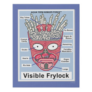 Aqua Teen Hunger Force Visible Frylock Poster Faux Canvas Print