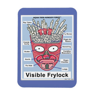 Aqua Teen Hunger Force Visible Frylock Poster Magnet