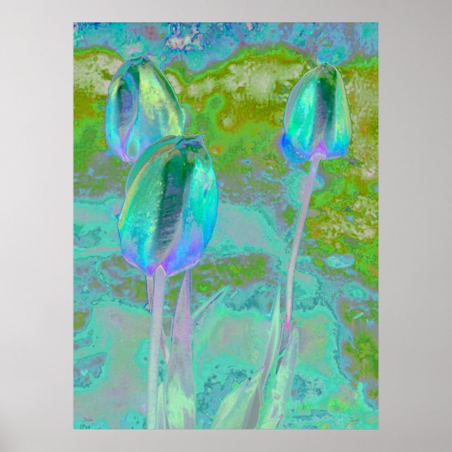 Aqua Tulip Digital Art Poster (Front)