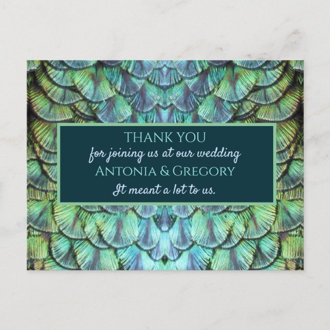 Aqua Vibrant Peacock Wedding Thank You Postcard (Front)