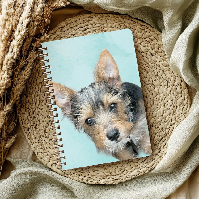 Aqua Watercolor Pet Photo Notebook (Creator Uploaded)