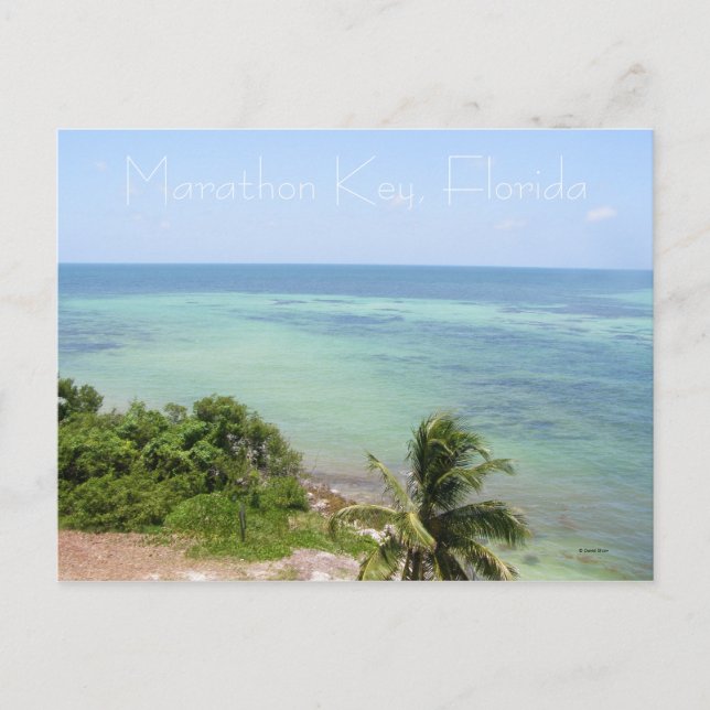 Aqua Waters Postcard (Front)