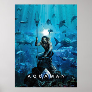 Aquaman   Prince Orin With Aquatic Animals Poster