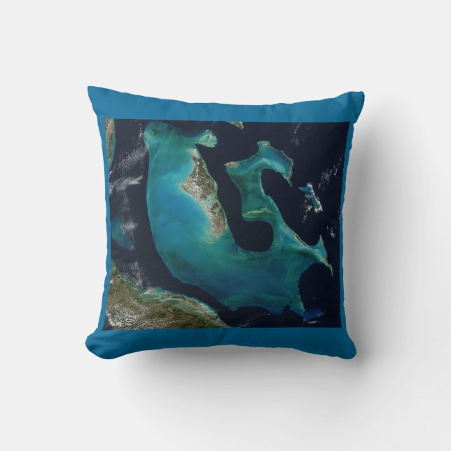 Aquamarine Abstract Bahamas Cushion (Front)