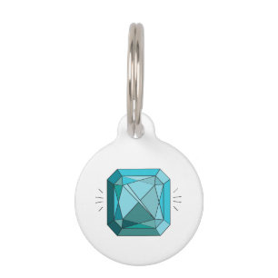 Aquamarine Pet Tag
