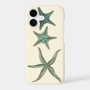 Aquamarine Triple Starfish