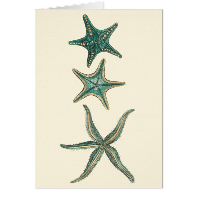 Aquamarine Triple Starfish (Front)