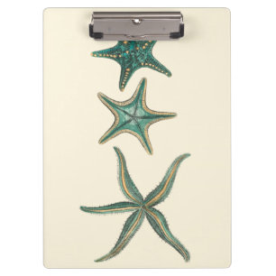 Aquamarine Triple Starfish Clipboard