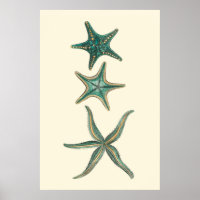 Aquamarine Triple Starfish