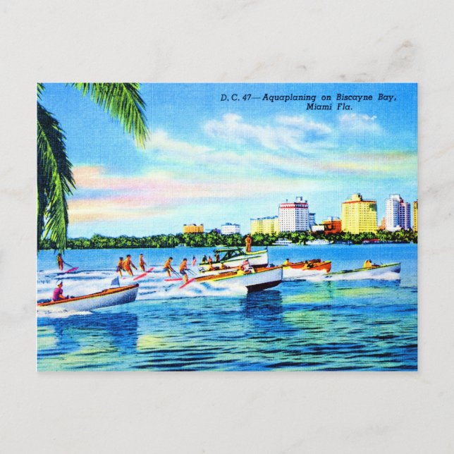 Aquaplaning on Biscayne Bay, Miami, Florida Postcard (Front)