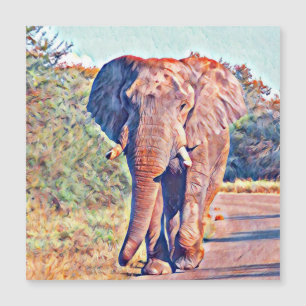 aquarell elephant